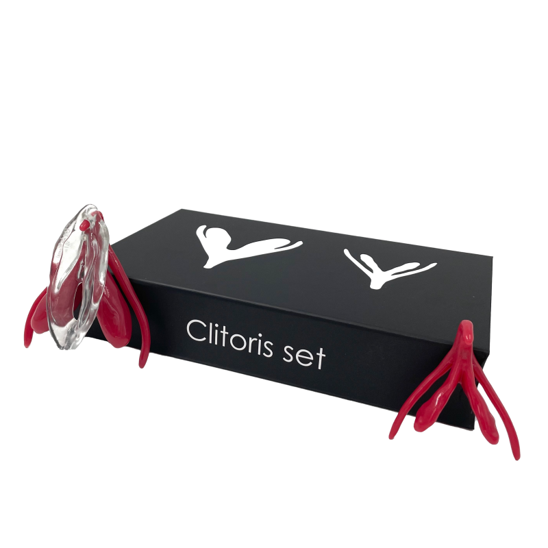 Clitoris Set - Flaccid &amp; Erect + Vulva