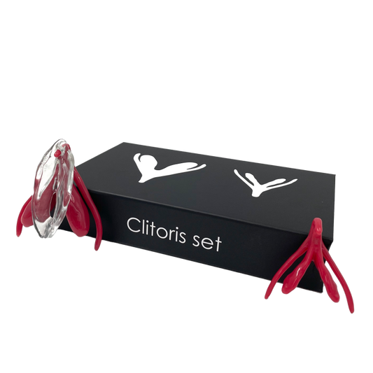 Clitoris Set - Flaccid &amp; Erect + Vulva